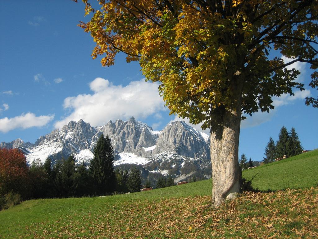 Villa Bauernhof Buchberg à Oberndorf en Tyrol Extérieur photo